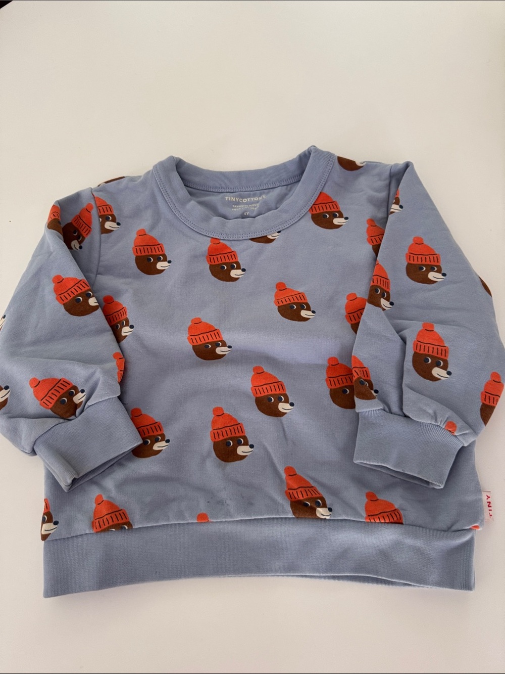 Tinycottons Blue Bear Beanie Print Sweatshirt for Kids